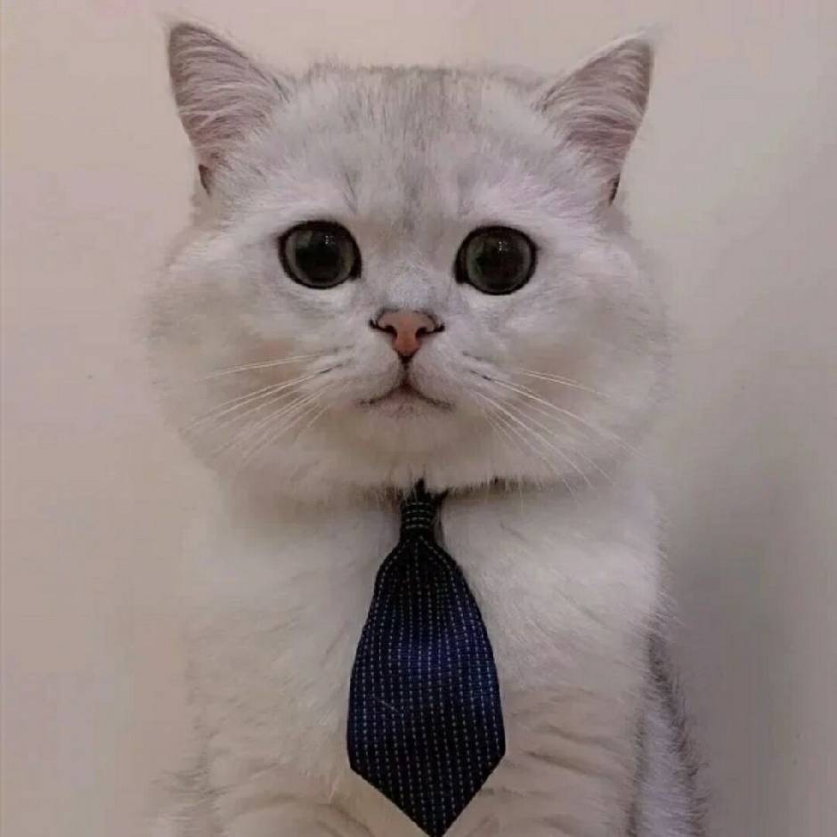 我是谁